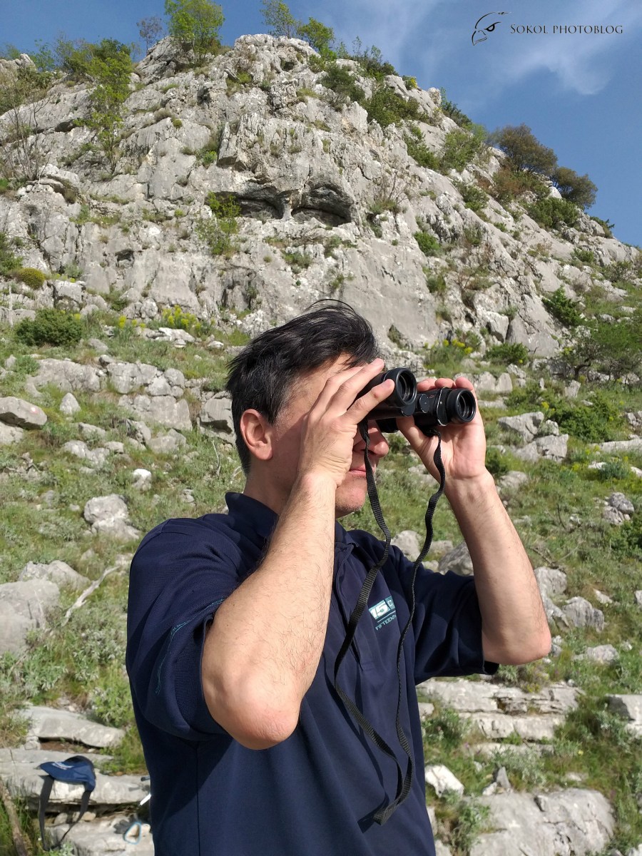 Miro, pogled ka vinogradima